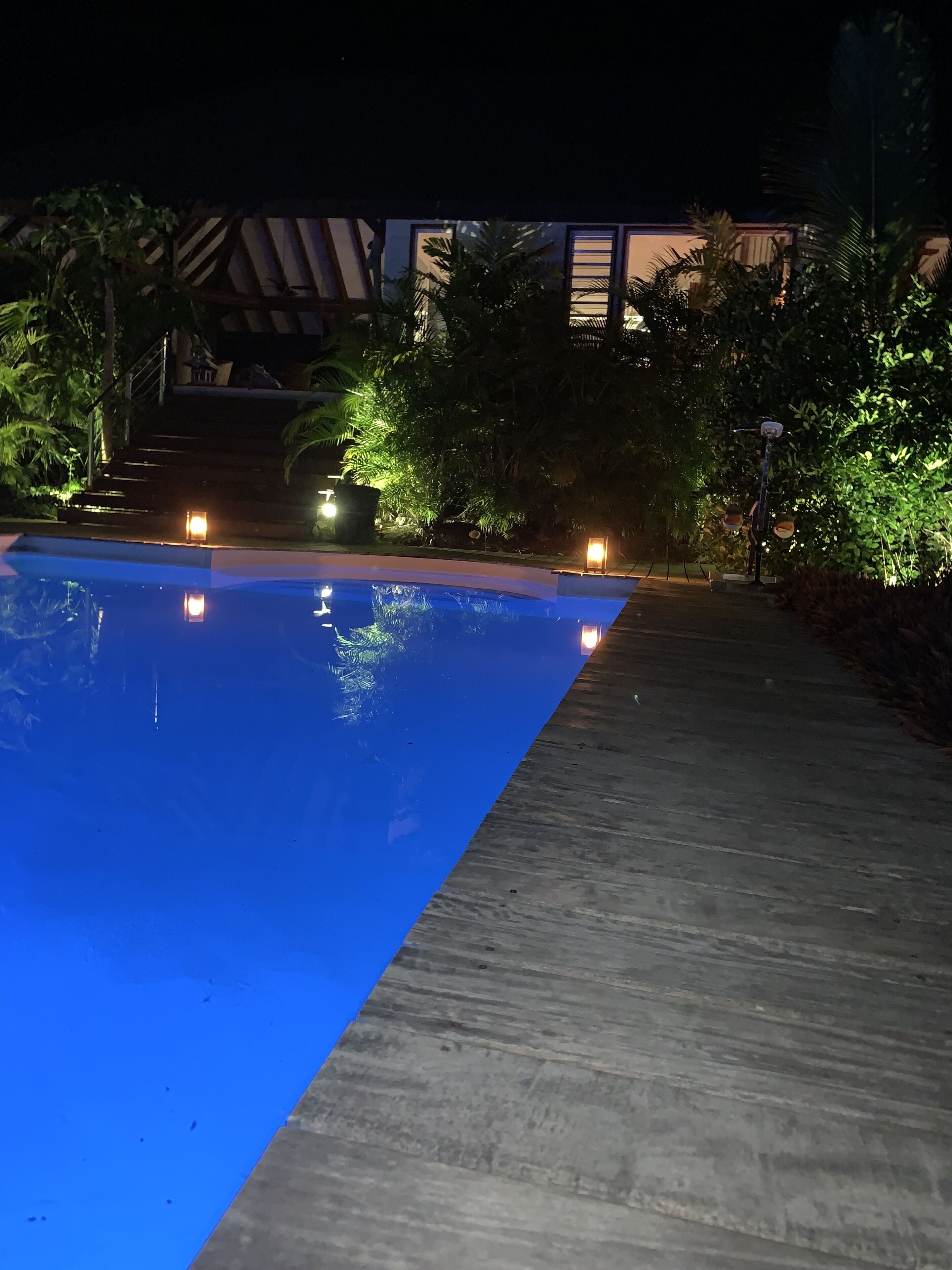 Ein Schwimmbecken bei Nacht mit umgebender Bepflanzung und einer Treppe.