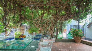 Uma área de refeições ao ar livre com uma mesa posta sob uma pérgola coberta por videiras, cercada por vasos de plantas e uma parede de pedra.