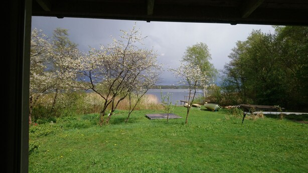 A view of a grassy area with trees and a body of water.
