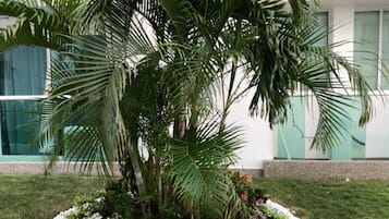 Apartamento familiar, 3 habitaciones, cocina | Terraza o patio