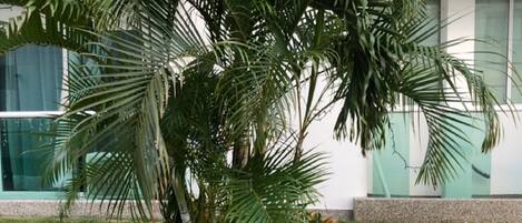 Family Apartment, 3 Bedrooms, Kitchen | Terrace/patio