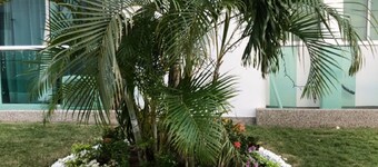 TIVOLI 3 BEDROOM APARTMENT, NEAR BUENAVISTA.