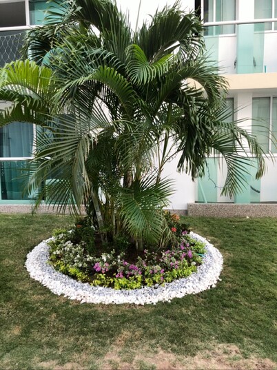 TIVOLI 3 BEDROOM APARTMENT, NEAR BUENAVISTA.