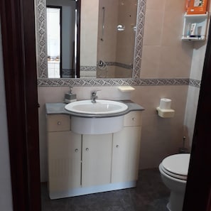 Combined shower/bathtub, hair dryer, bidet, towels
