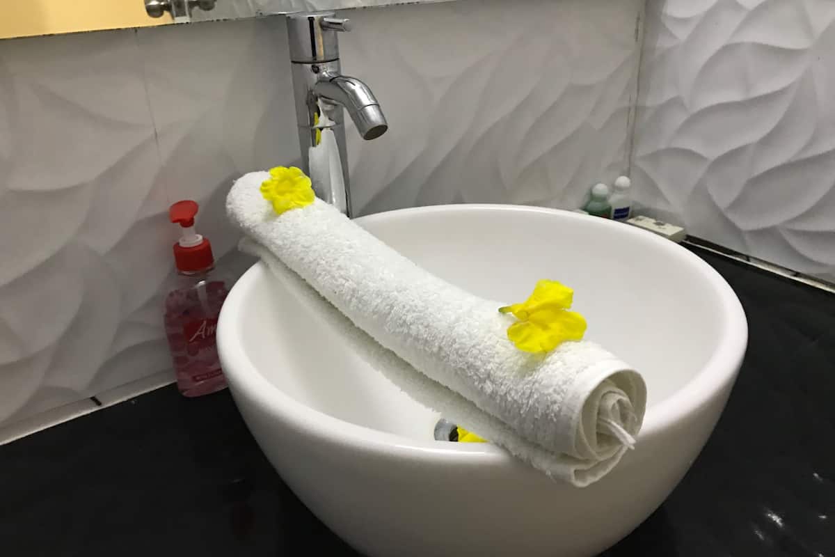 shower, free toiletries, hair dryer, towels