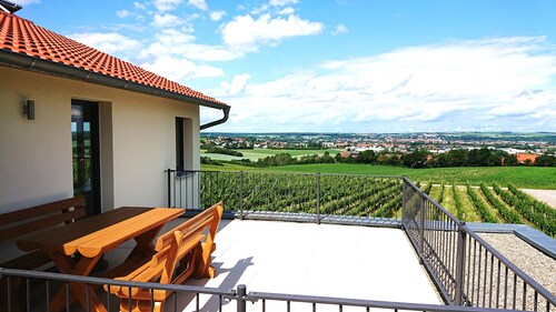 Main vacation in the vineyard 