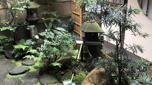 A traditional Japanese garden with stone lanterns, bamboo, and ferns.