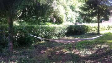 A hammock tied between trees in a wooded area.