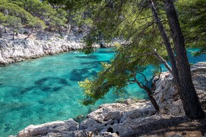 Un paisaje costero con aguas turquesas cristalinas, terreno rocoso y vegetación densa.