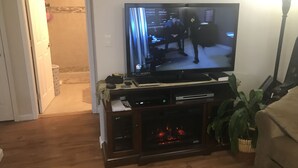 Un saló amb un televisor de pantalla plana sobre un suport de fusta, una llar de foc i una planta en test.