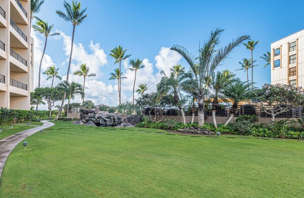 A well-maintained lawn with palm trees and a stone wall, surrounded by buildings.