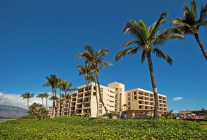 A hotel with multiple floors, palm trees, and a clear blue sky.