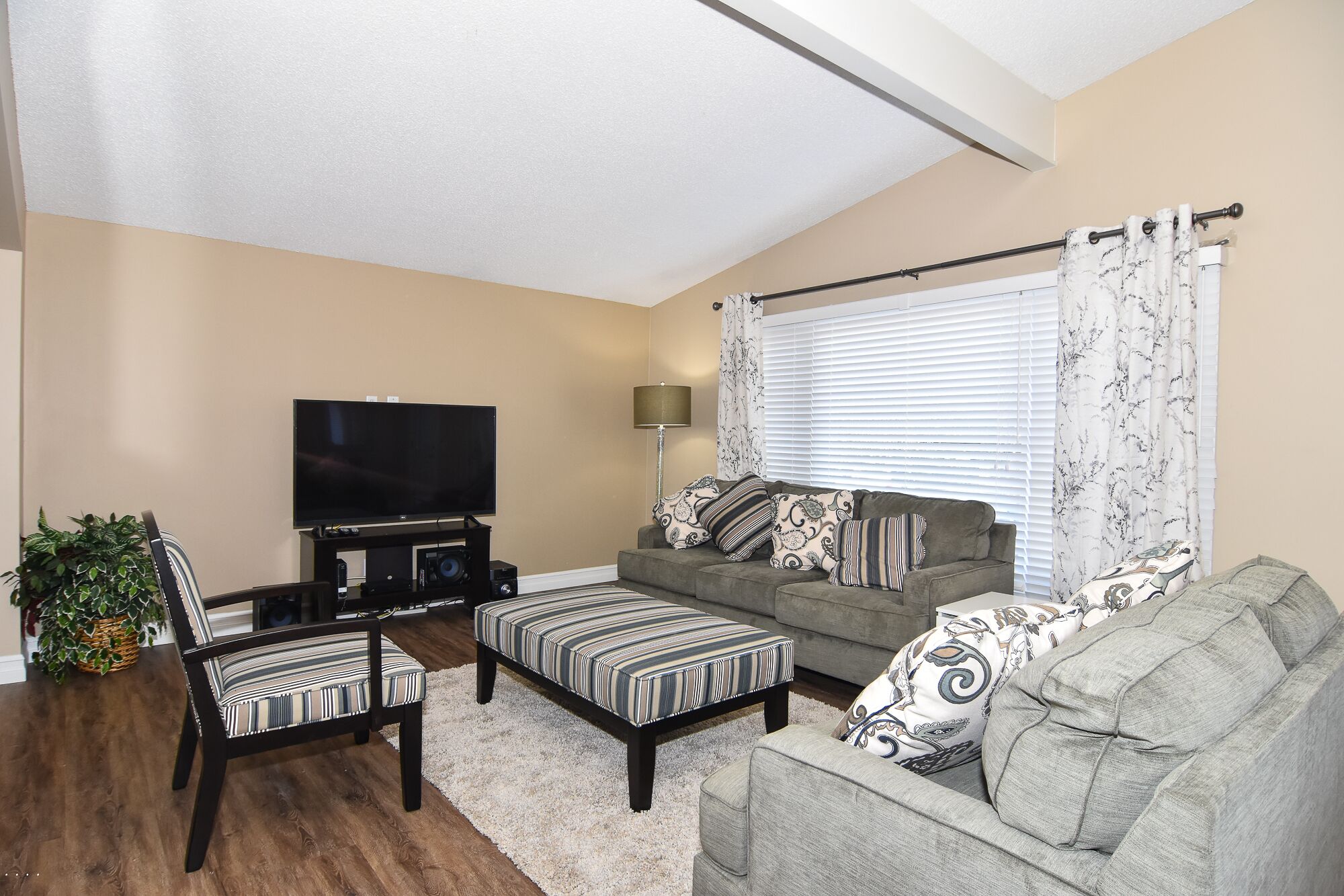 TV, fireplace, stereo