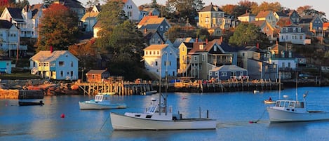 Marina