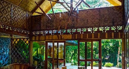 A-Frame Volcano House