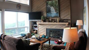 TV, fireplace, DVD player, books