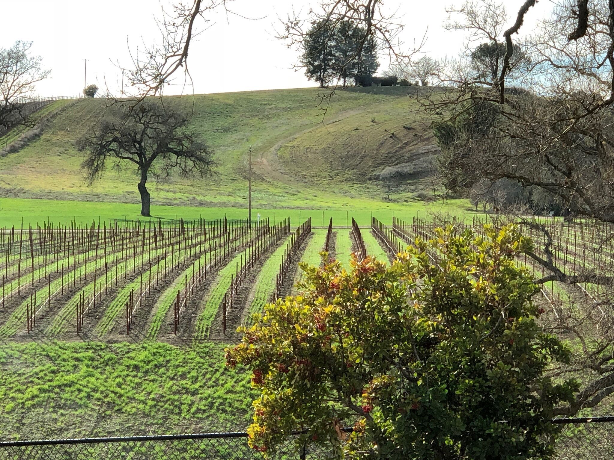 Áreas de la propiedad