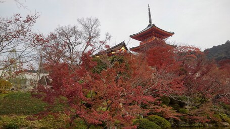 Keio Prelia Hotel Kyoto Karasuma Gojo - Image 25