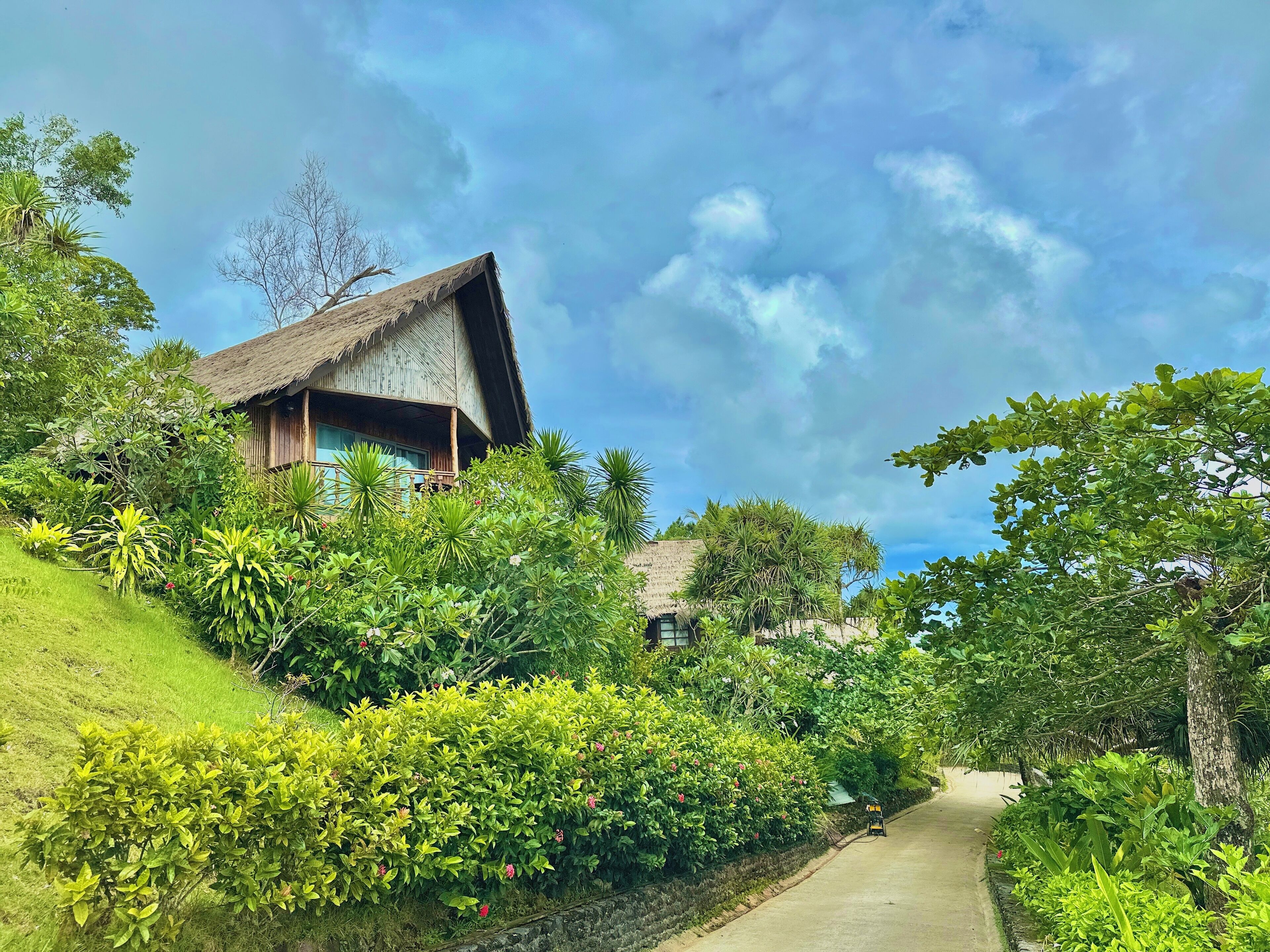 A traditional thatched-roof building surrounded by lush greenery and a clear sky.