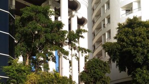 A stone staircase leading up to a building with white columns and a large potted tree in the foreground. - Sky Beach Apartment (Pattaya)