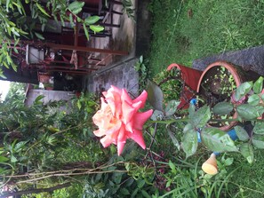 Terrace/patio - Gurkha Lodge (Pokhara)