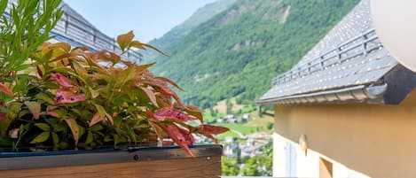 Une jardinière en bois contenant une plante, placée sur un balcon donnant sur un paysage montagneux.
