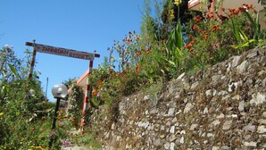 A sign for Janardan Resort with a stone wall and various plants in the foreground. - Janardan Resort Pangot (Kosiyakutoli)