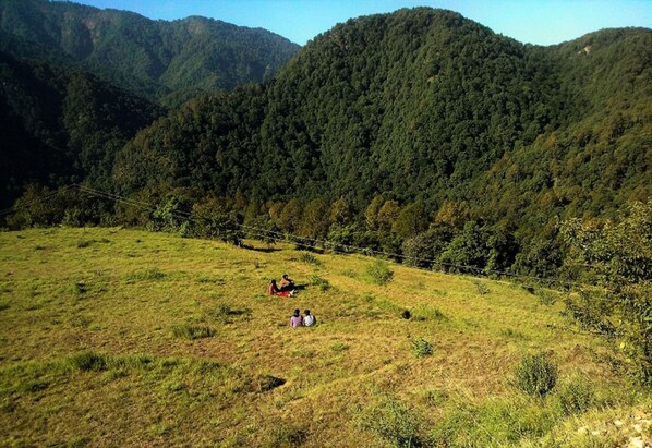 A grassy field with a few people sitting and walking, surrounded by dense forested hills.