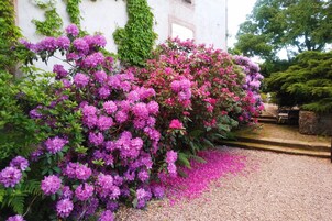 Jardín