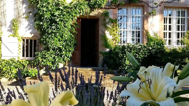 Edificio con jardín que presenta lirios amarillos y lavanda.