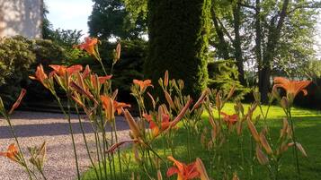 Un jardín con flores anaranjadas y césped verde frente a un edificio.