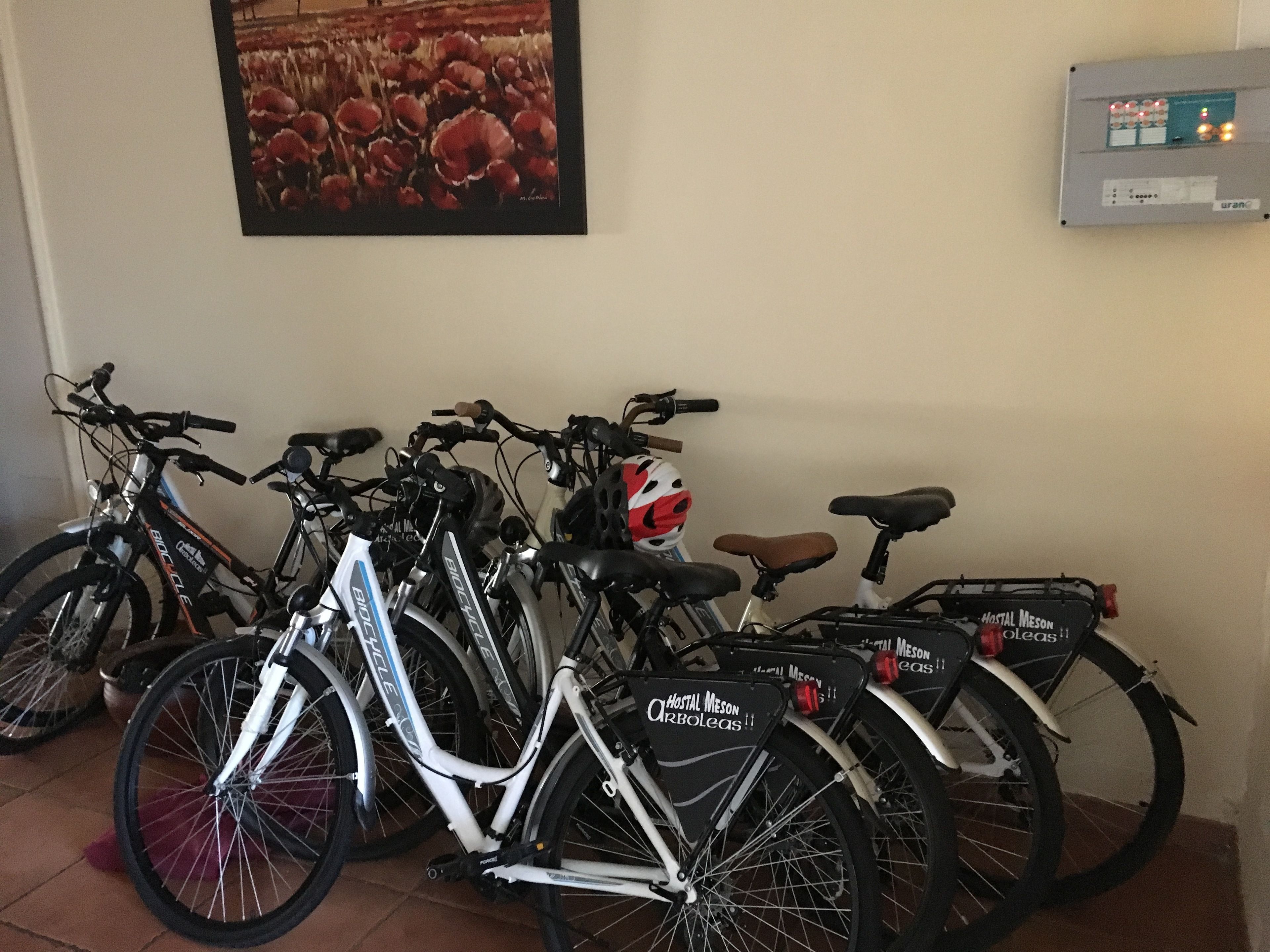 Varias bicicletas aparcadas en un interior, un cuadro eléctrico sujeto a la pared y una obra de arte enmarcada.