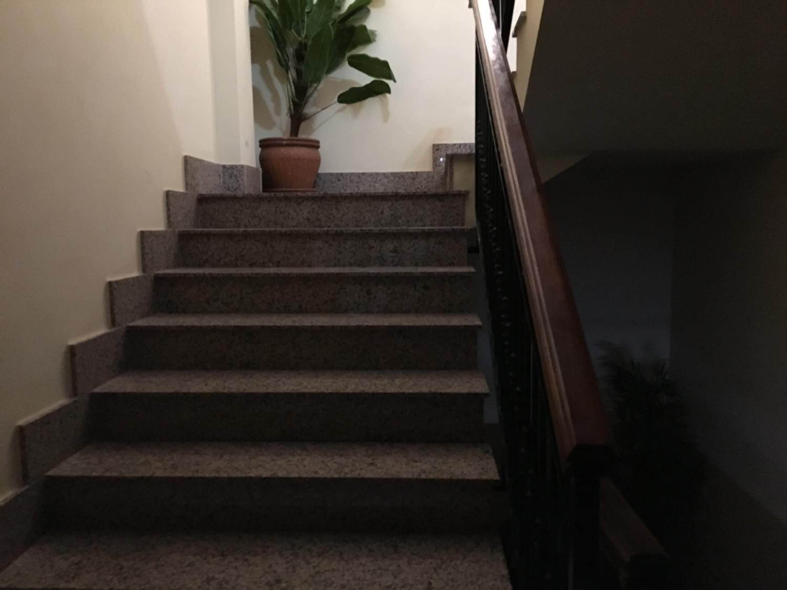 Una escalera con una planta en maceta en la parte superior.
