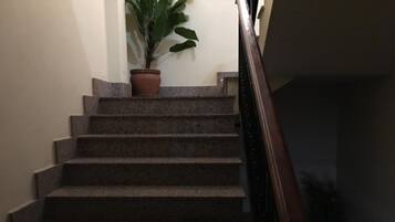 Una escalera con una planta en maceta en la parte superior.