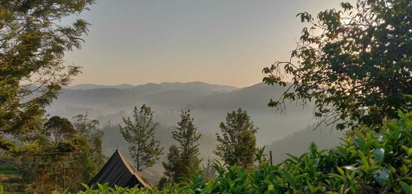 Mountain view