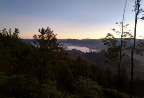 Vista desde la propiedad