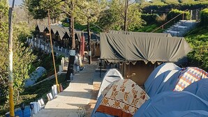 A campsite with tents, a paved walkway, and trees. - Janardan Tea Resort - Campsite (Kunda)
