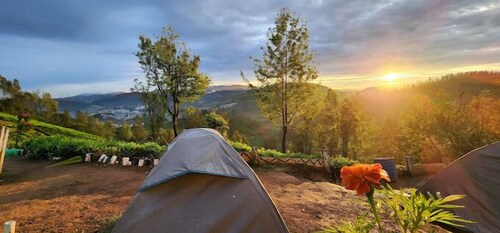 Janardan Tea Resort - Campsite