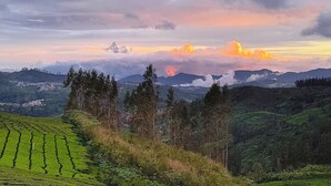 A panoramic view of a hilly landscape with terraced fields and a town in the valley. - Janardan Tea Resort - Campsite (Kunda)