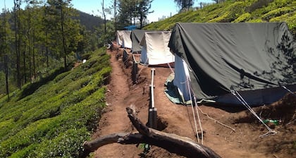 Janardan Tea Resort - Campsite