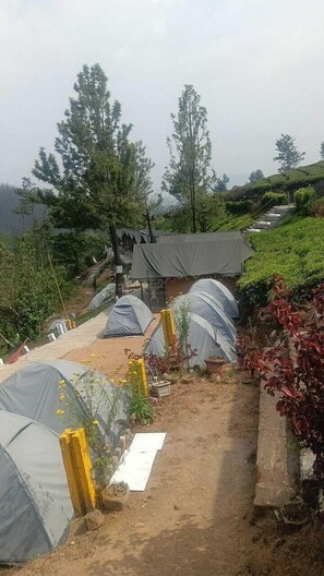 Exterior - Janardan Tea Resort - Campsite (Kunda)