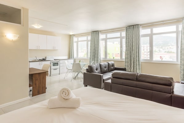 Basic Studio, 1 Queen Bed