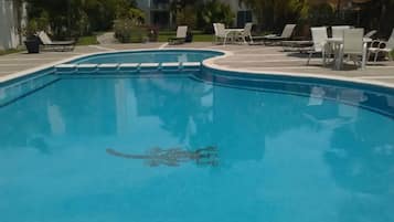 Outdoor pool