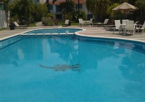 Outdoor pool