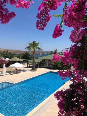 Chambre Standard | Terrasse/Patio