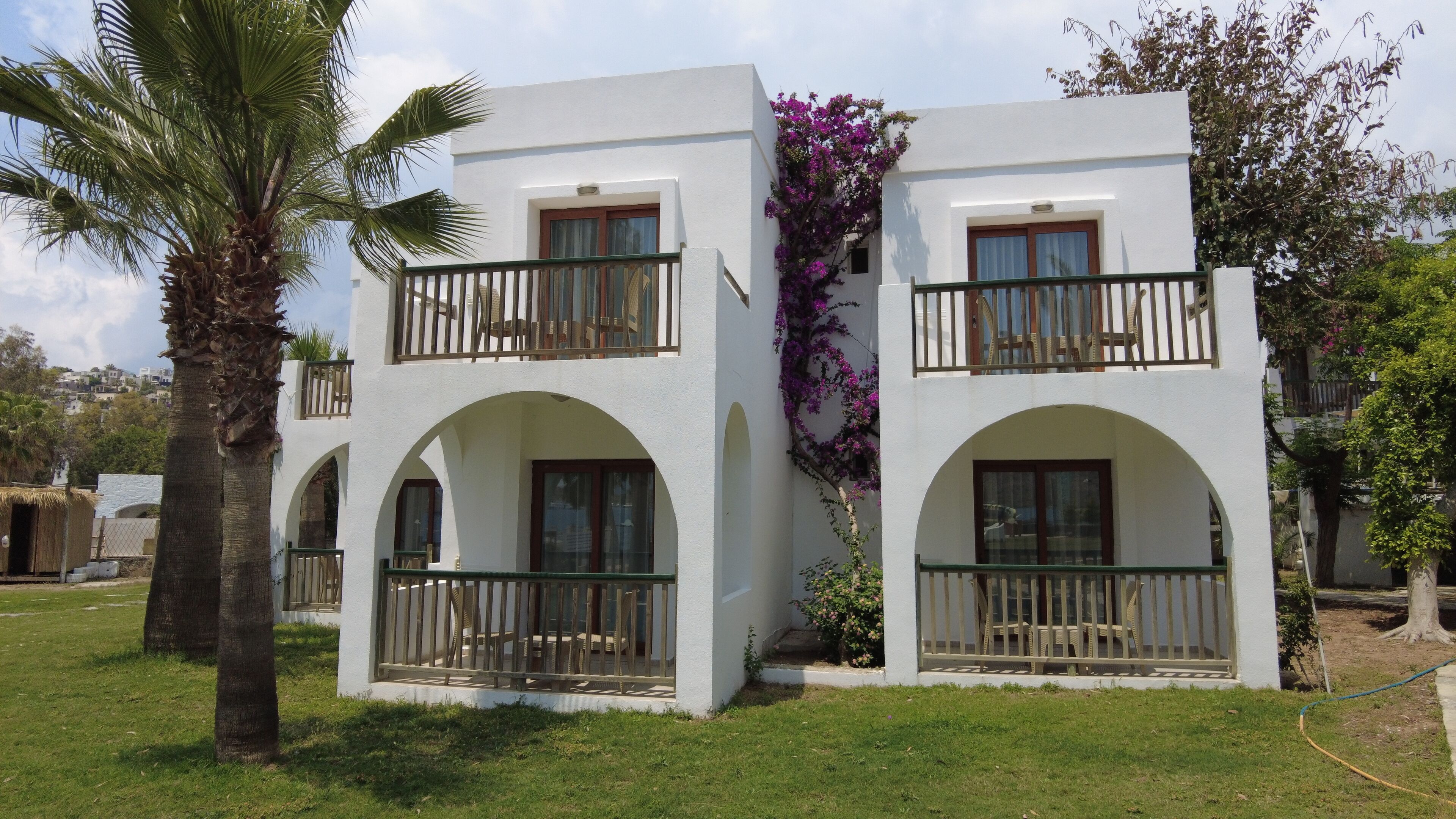 A two-story building with balconies, arched windows, and a palm tree in the foreground.