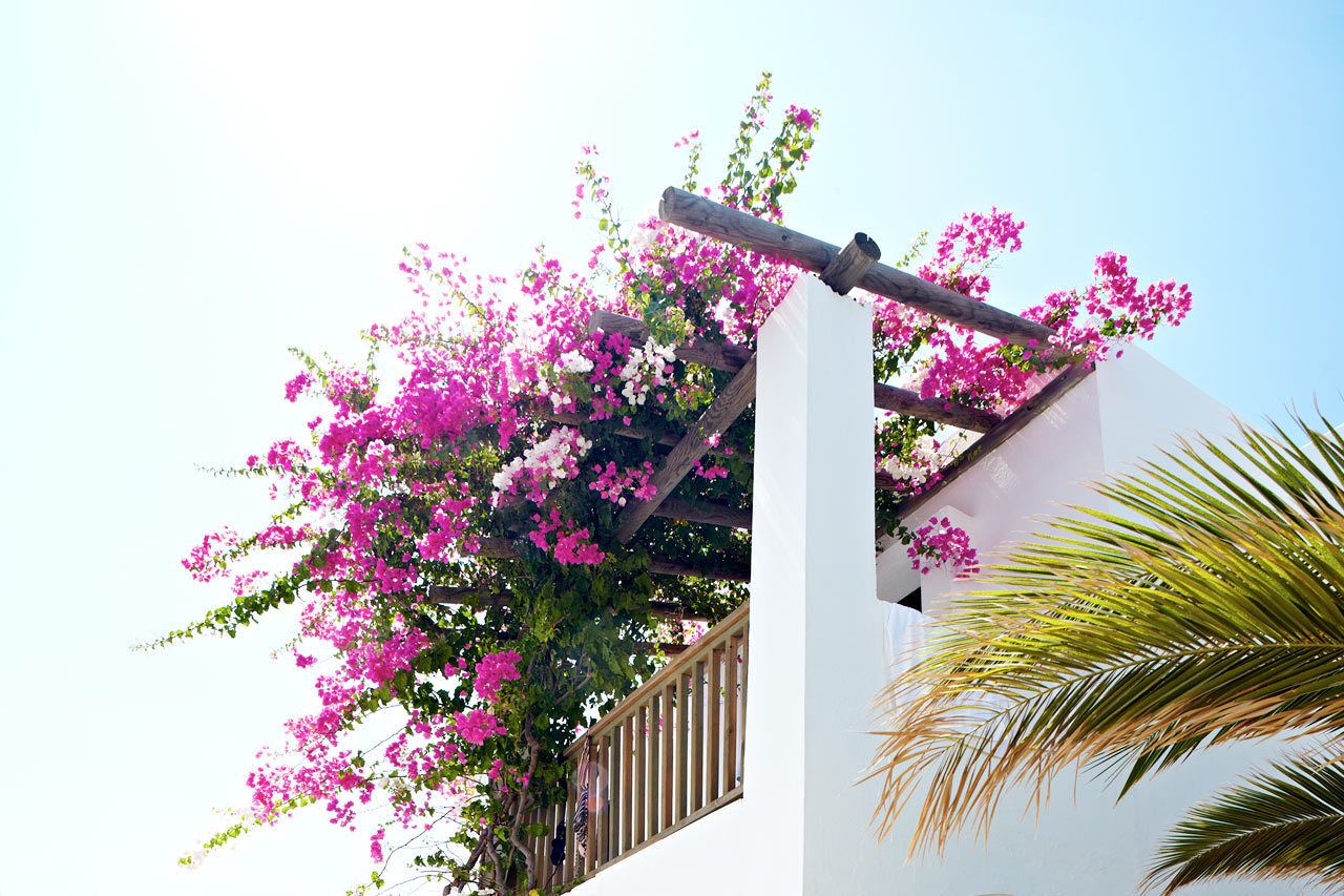 Photo - Hotel Gumbet