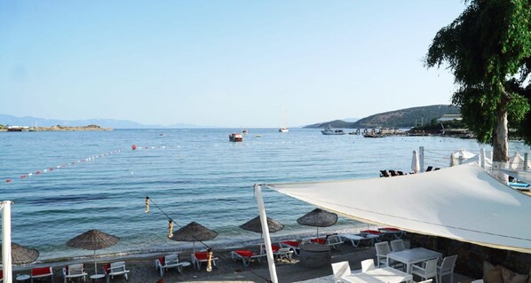 Vue sur la plage/l’océan