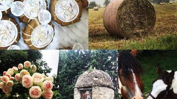 A rustic stone building, a field with hay bales, and a horse.