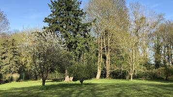 Un parc où l’on trouve une grande variété d’arbres, notamment un grand conifère et plusieurs arbres à feuilles caduques.